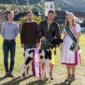 Sieger Bergschaf Bundeskilbernschau geschecktes Bergschaf Steiermark